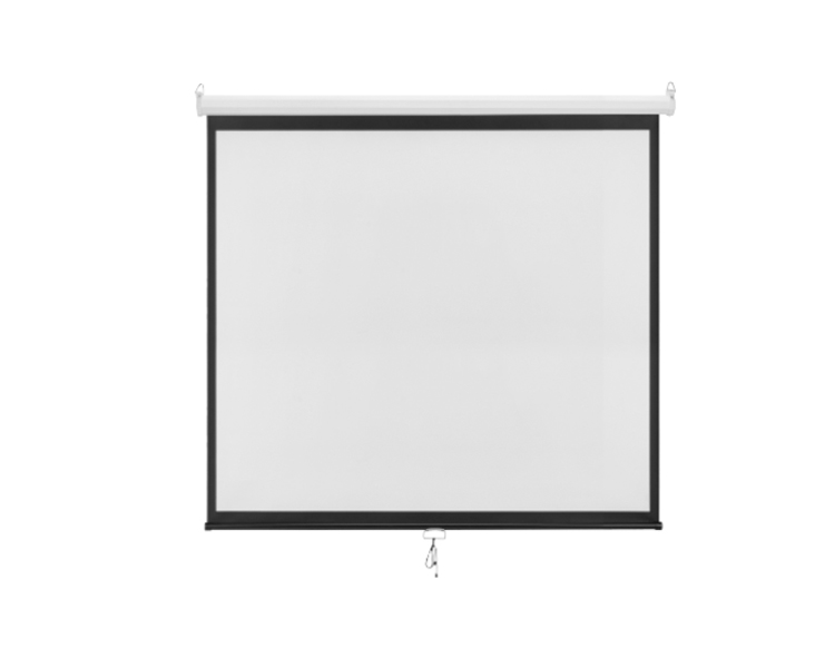 Projector Screen: Vertex VX-PS-240M 135" 240x240cm 160°